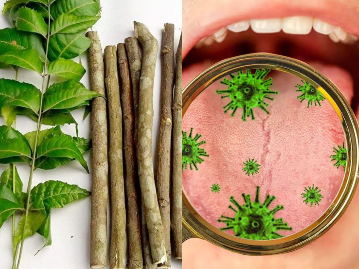 Neem Sticks as a Natural Toothbrush