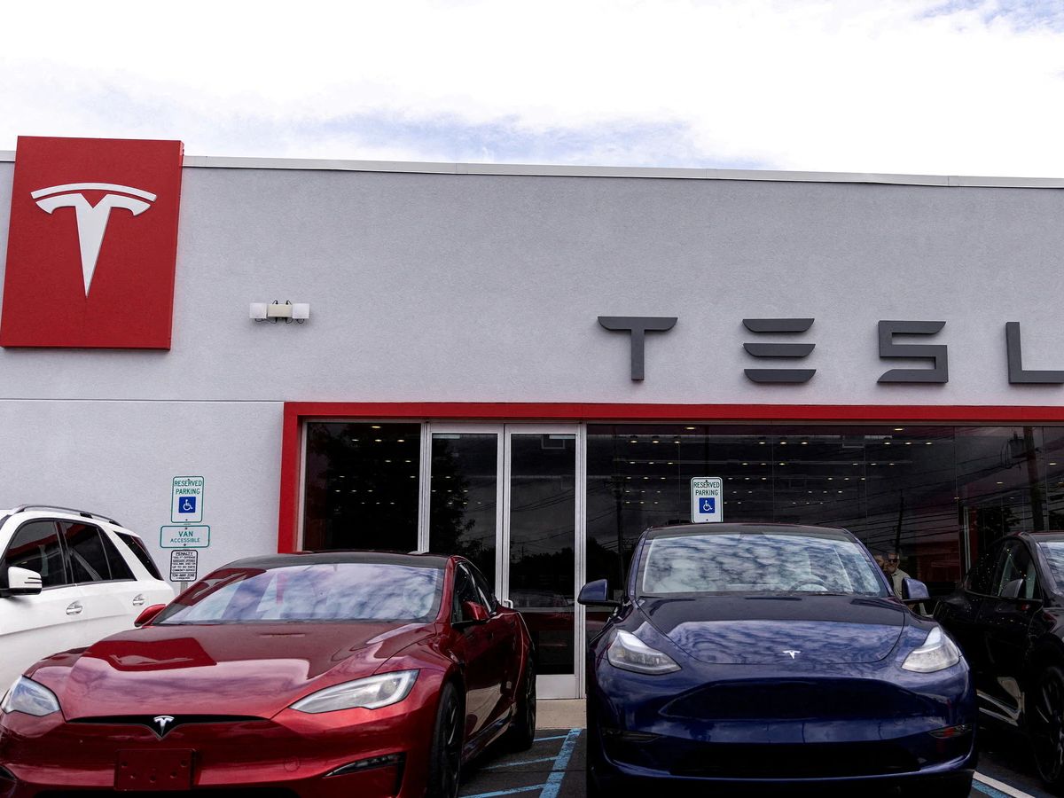 Massive Hype Amongst Fans & Industry