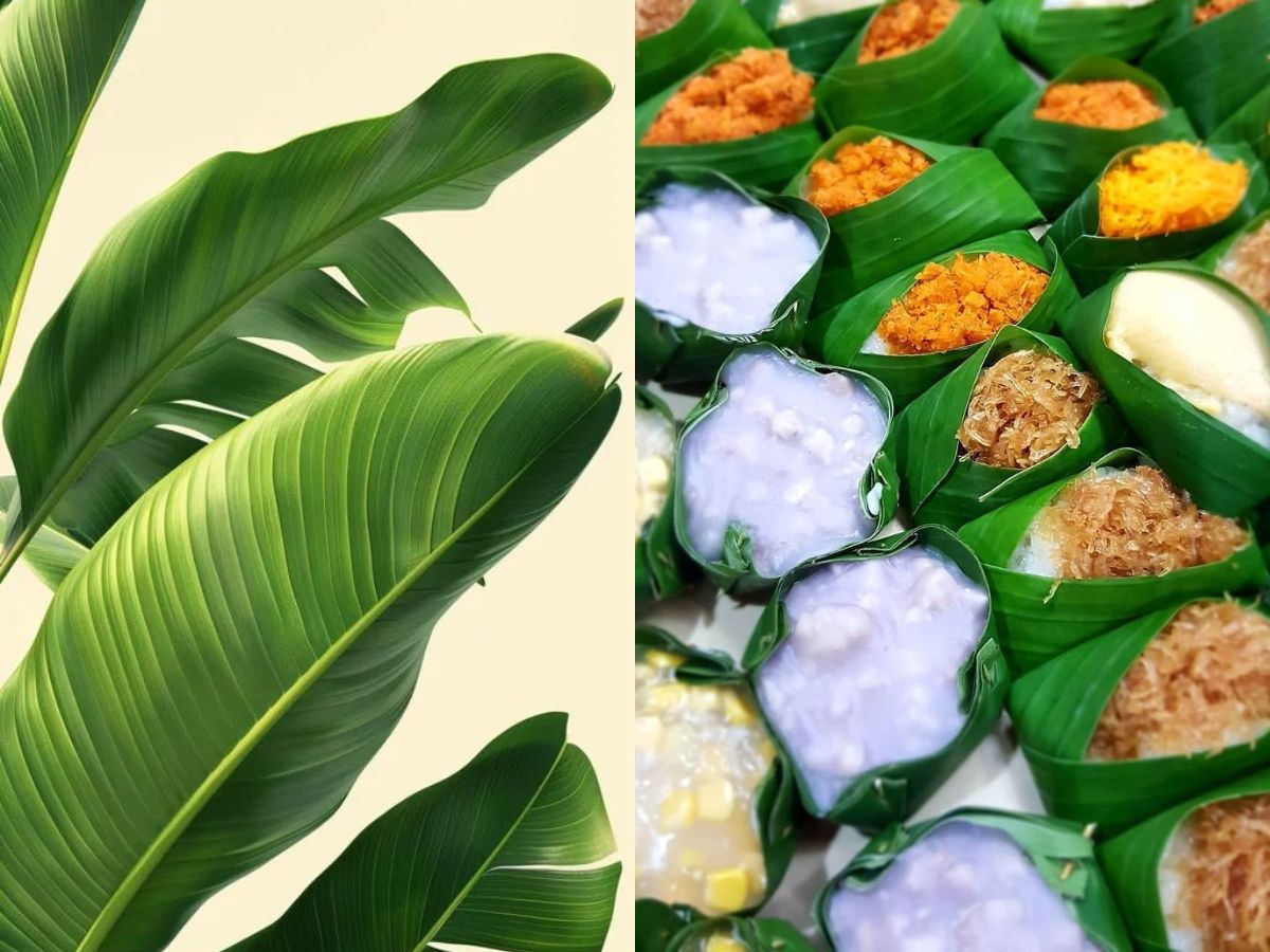 Banana leaf plates