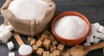 When Is the Right Time to Eat Sugar? Boost Energy Without Spiking Blood Sugar the Wrong Way