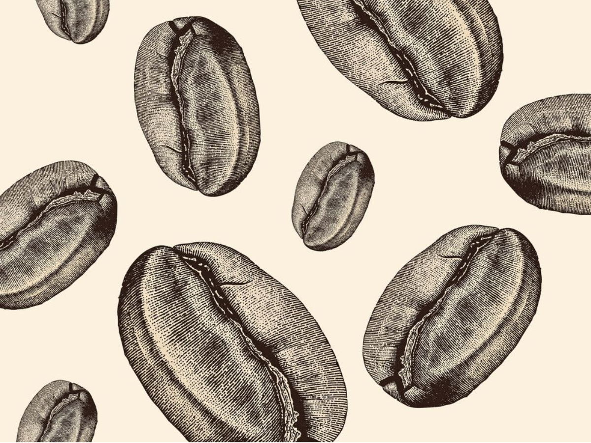 Why does coffee wake you up?