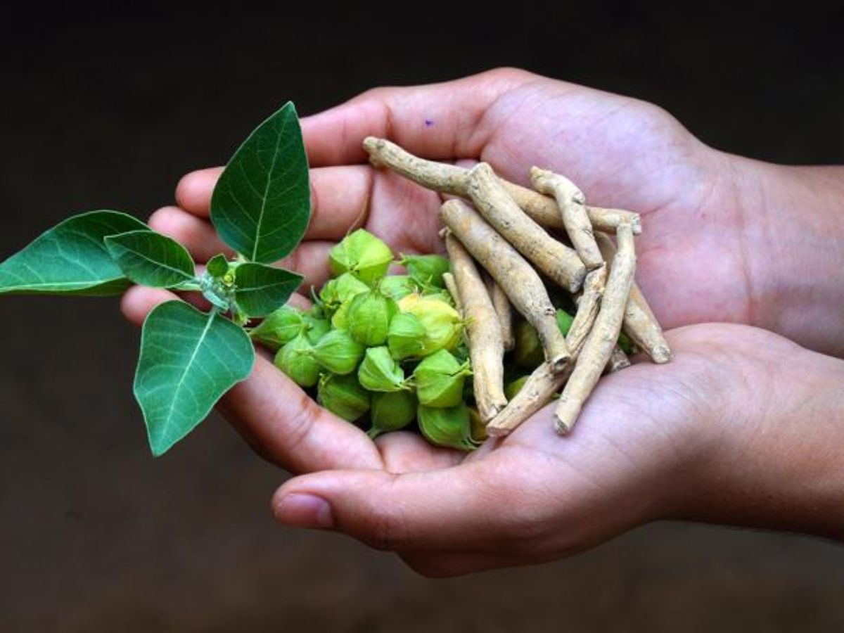 Reduces Stress and Anxiety