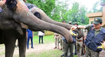 Uttarakhand CM Dhami Plants Over 1000 Plant Saplings Amid His Jungle Safari In Corbett National Park