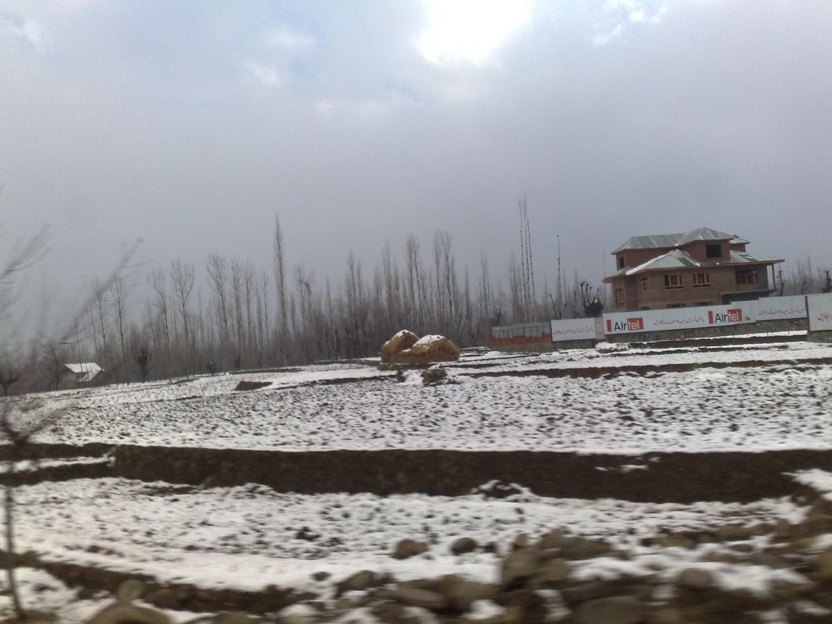 Where Bollywood Meets Beauty