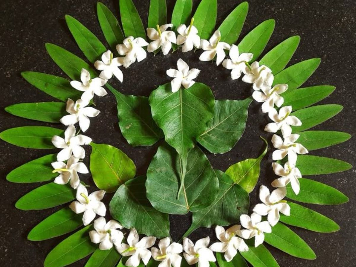 Biodegradable rangoli ideas