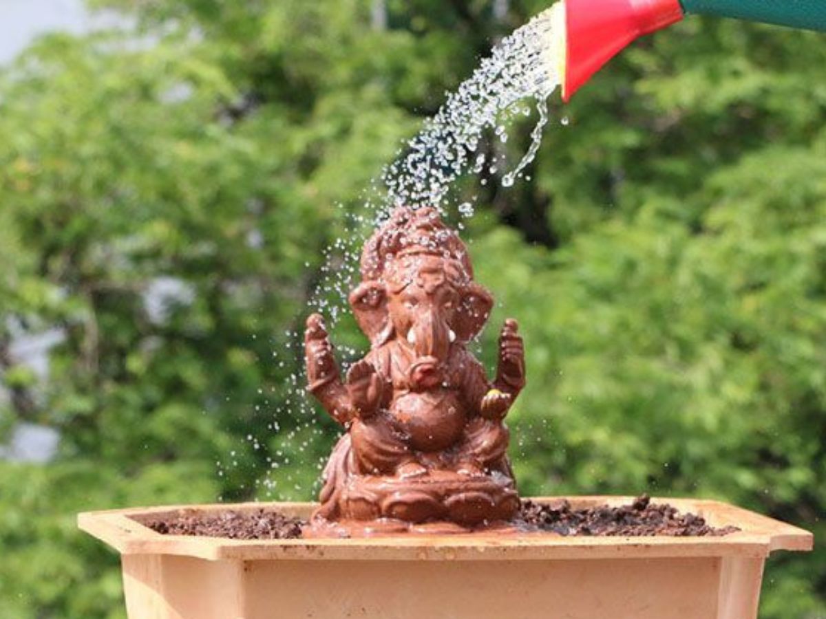 Plantable Ganpati Idols