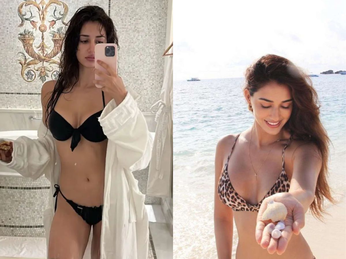 Successful Film Career