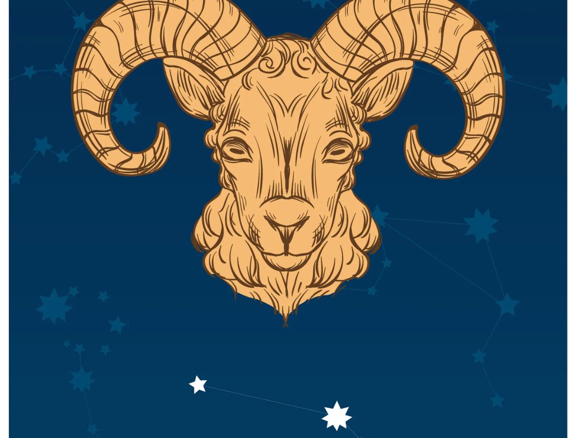 Aries- The Energetic Go Getter
