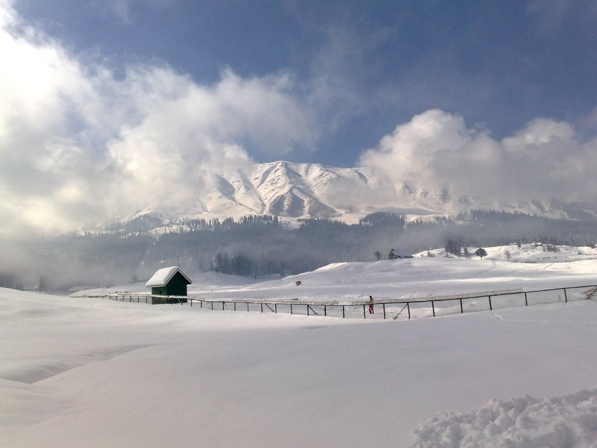 Snow-Kissed Paradise