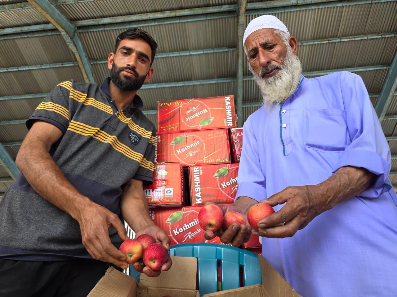 Kashmir’s Apple Industry Suffers Amid Prolonged Jammu Srinagar Highway Closure (Photo Credit - Abid Nabi)