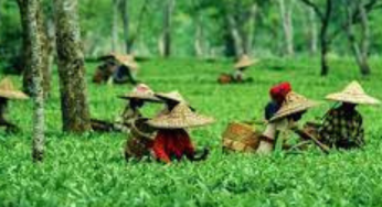 Assam: Four Including Wife And Daughter Arrested For Murder Of Dibrugarh Businessman