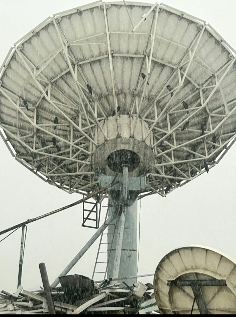 delhi-rains-live-updates-heavy-rain-batters-delhi-ncr-imd-issues-red-alert Delhi Rains Live Updates: One Killed In Kalkaji, Yamuna River Nears Warning Level, Waterlogging In Several Parts