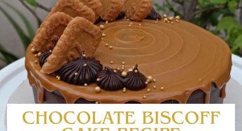 How To Make Chocolate Biscoff Cake At Home in Some Minutes? Step by Step Guide