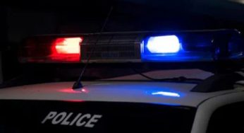 5 Shot, Several Injured As Multiple Gunmen Open Fire In New York City Park: All You Need To Know