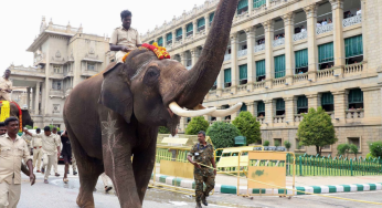 Kolhapur: Thousands Take Part In Silent March Demanding Return Of Elephant Mahadevi To Nandani Jain Math