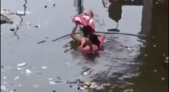 Uttar Pradesh: Parents Carry Baby Overhead While Navigating Flooded Prayagraj Streets