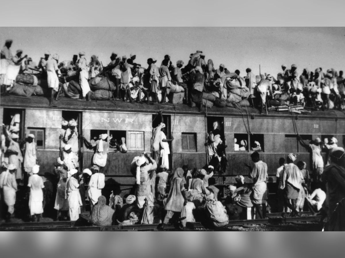 The Human Cost of a Divided Nation