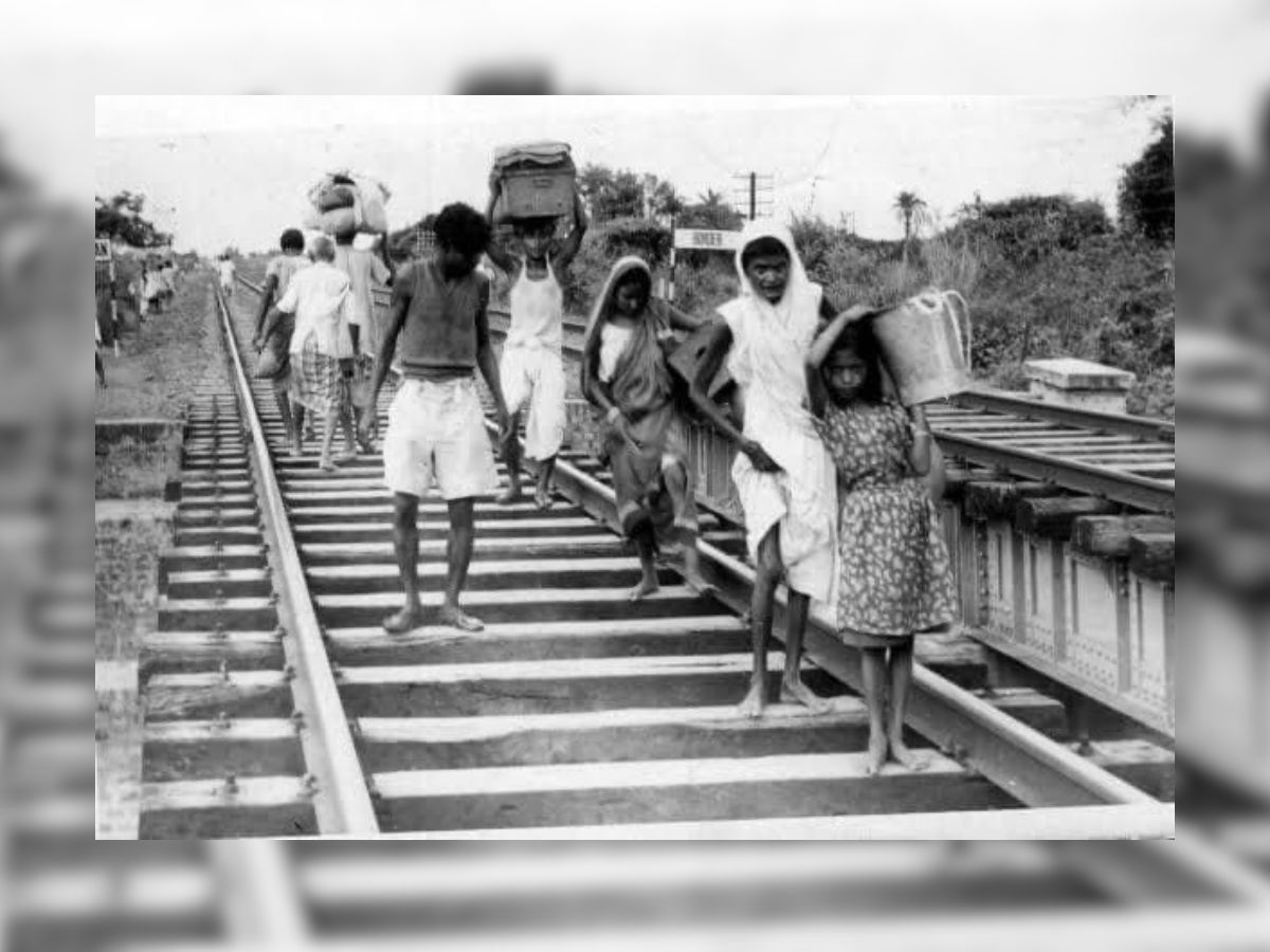 The Long Walk to Freedom