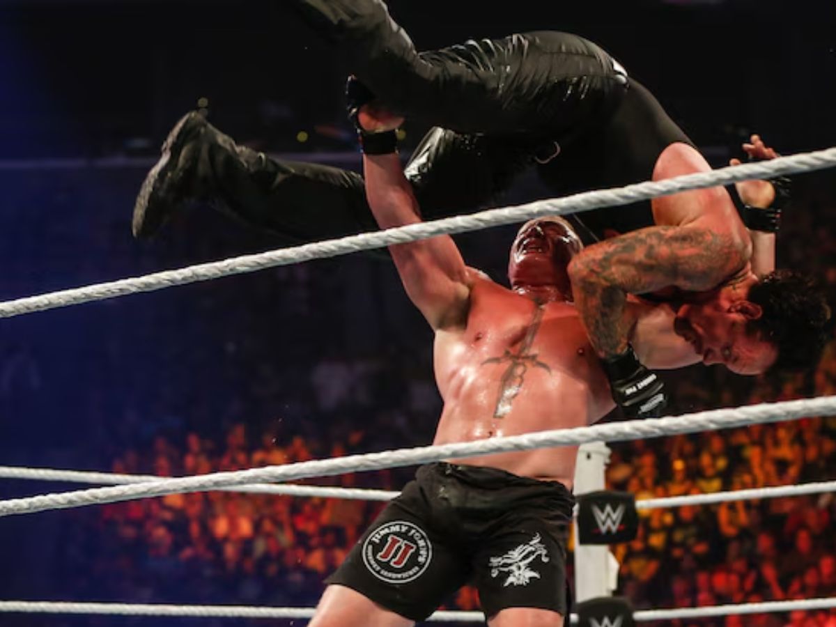 The Undertaker Vs. Brock Lesnar (Hell In A Cell 2015)