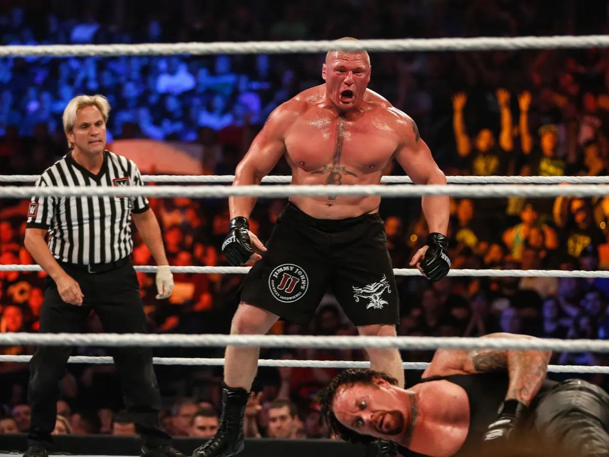 Brock Lesnar Vs. The Undertaker (Hell In A Cell 2015)