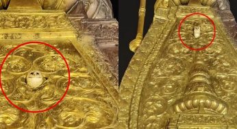 Rare White Owl Seen on Kashi Vishwanath Temple’s Golden Peak, Devotees See Goddess Lakshmi’s Blessing