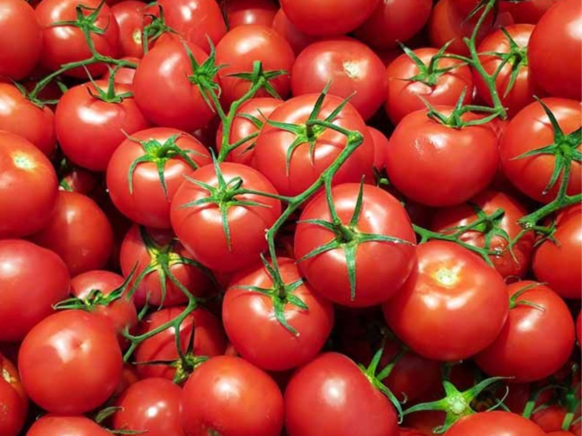 Rich in Antioxidants