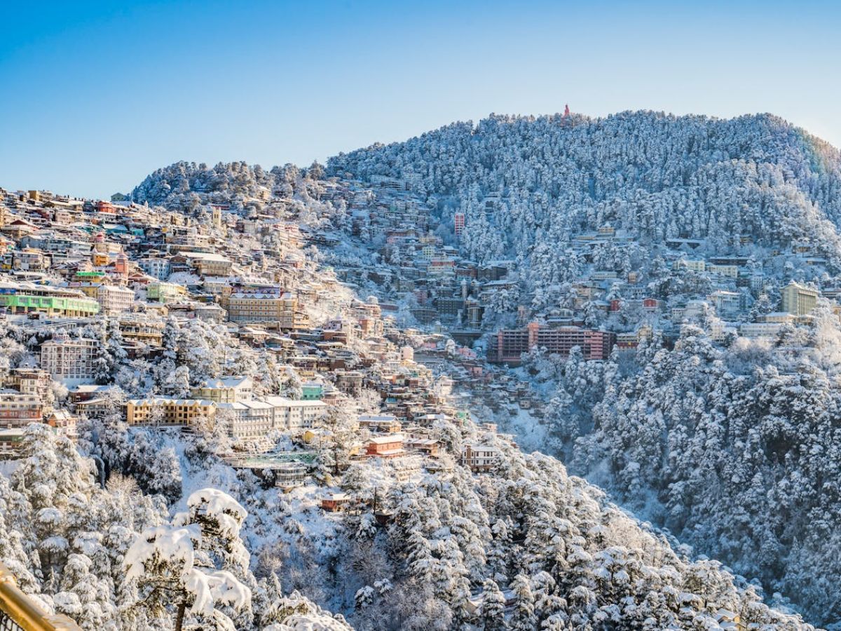 Simple Life in the Hills