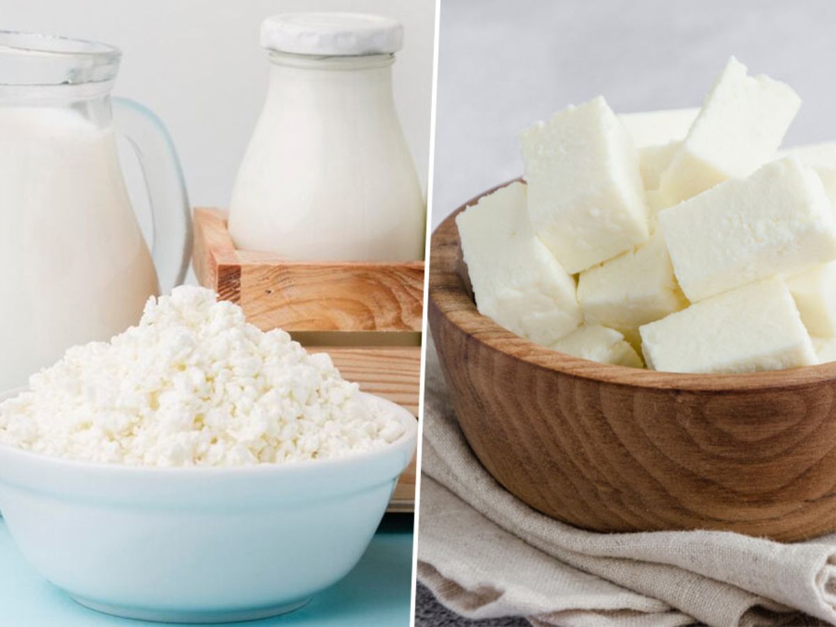 Cottage Cheese or Paneer