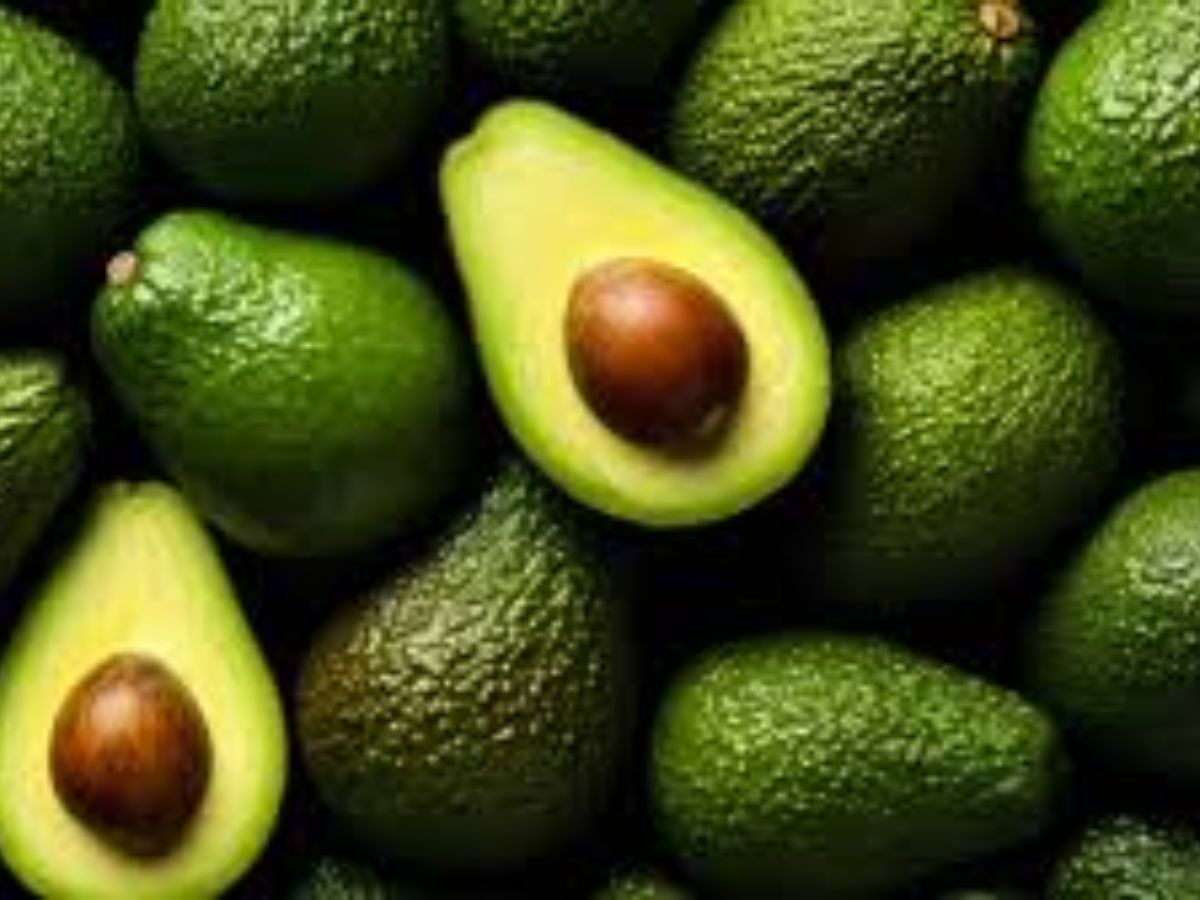 Avocados – Healthy Fats for a Healthy Life
