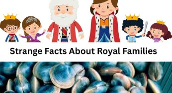 7 Lesser Known And Strange Royal Family Facts That Will Surprise You