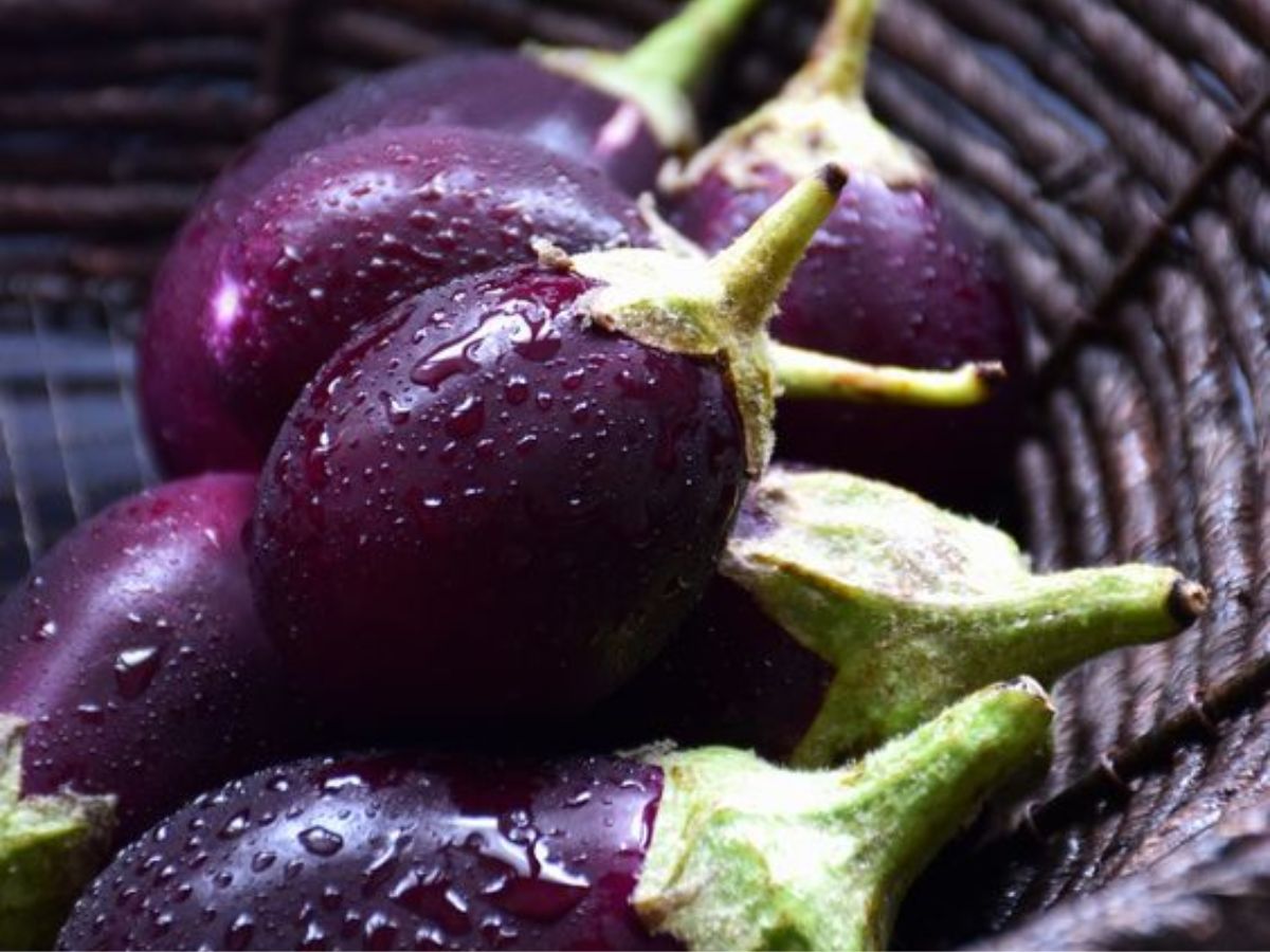 Those with Past Kidney Stones