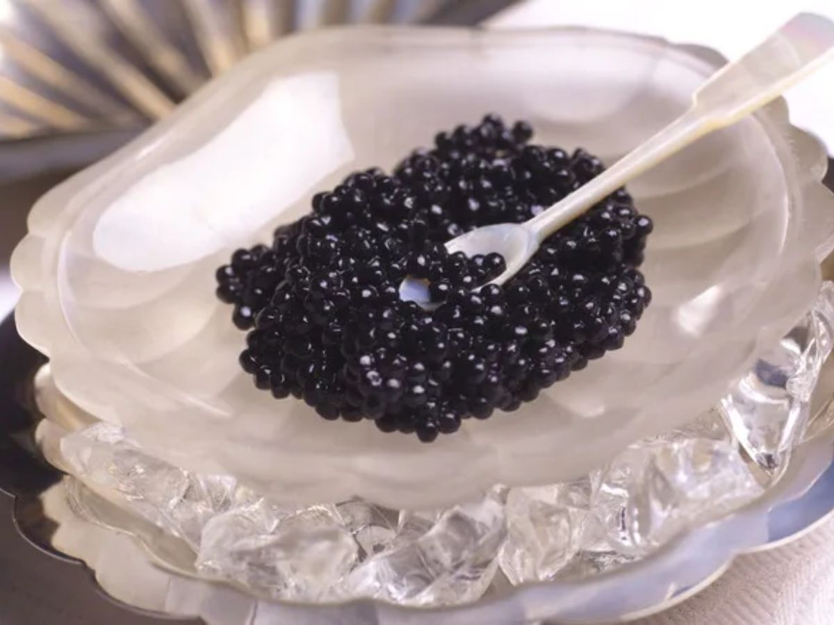 Almas Beluga Caviar