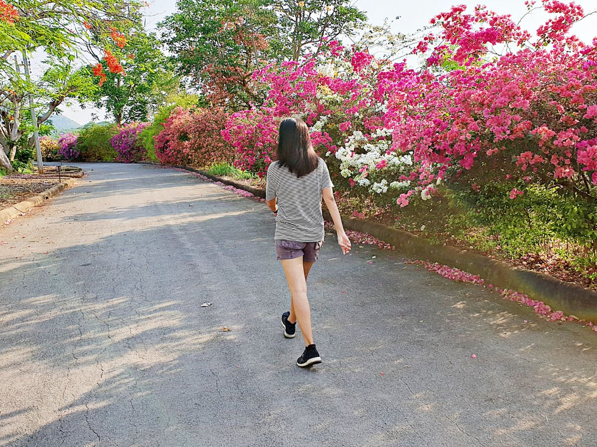 Little Impact on the Environment