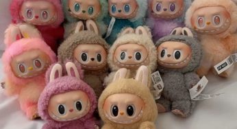 Labubu Doll Craze | When A Toy Meltdown Costs ₹48 Lakh: Is This What Soft Parenting Looks Like?