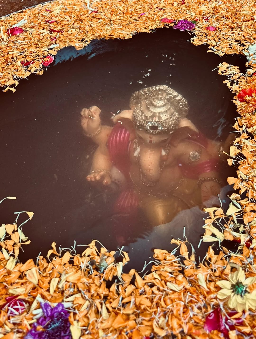 Kartik Aaryan bids goodbye to Ganpati Bappa, shares pictures from Ganesh immersion procession at his home