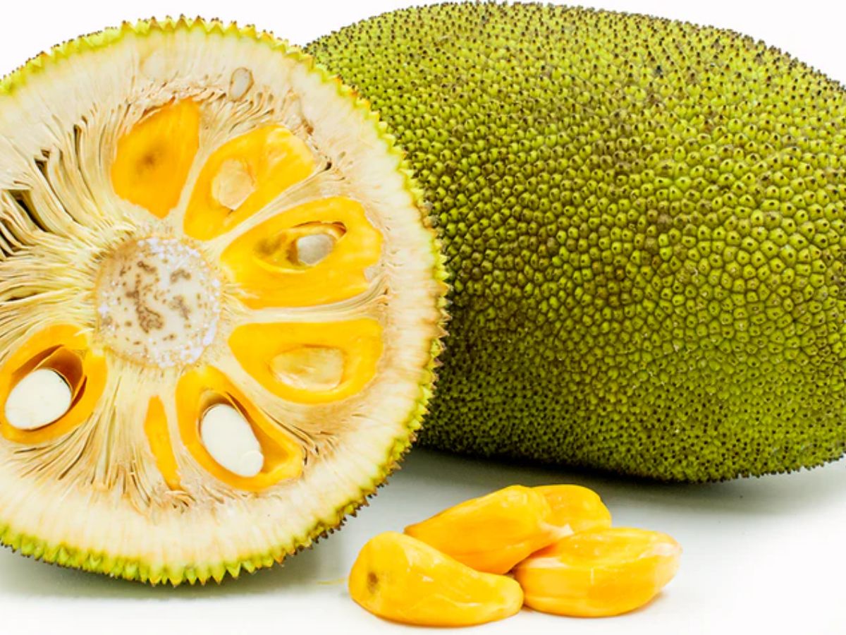 Jackfruit