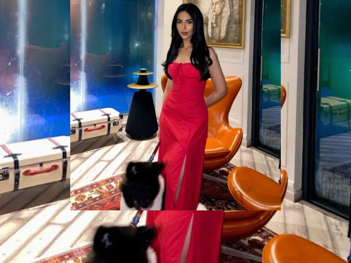 Chic and Confident Aura