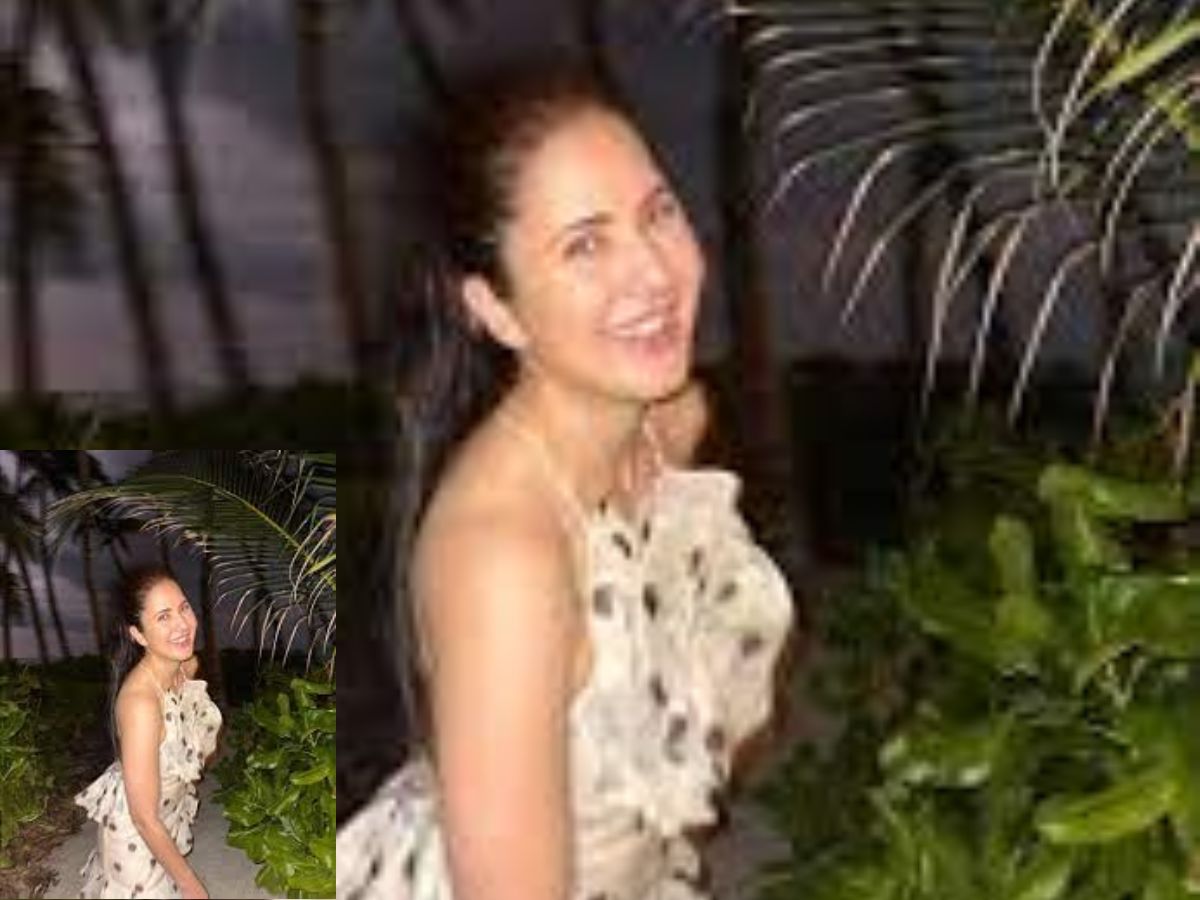 Katrina Kaif's New Year Controversy