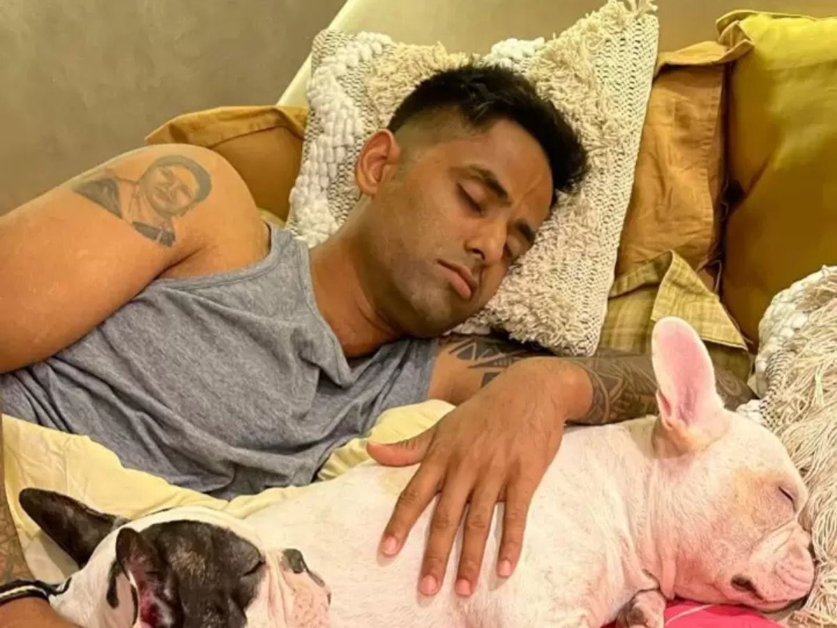 Comfortable and Elegant Bedrooms