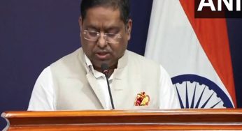 India sharing high flood data with Pakistan on 'humanitarian consideration': MEA