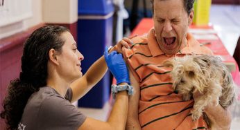 Russian vaccine for colon cancer ready to use: Report