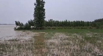 Situation under control in Ludhiana district amid severe flood in Punjab: Authorities