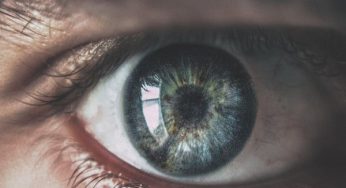 Study suggests bioengineered cornea might restore sight to the blind