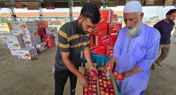 Highway closure leaves Kashmir’s fruit economy staring at Rs 200 crore loss