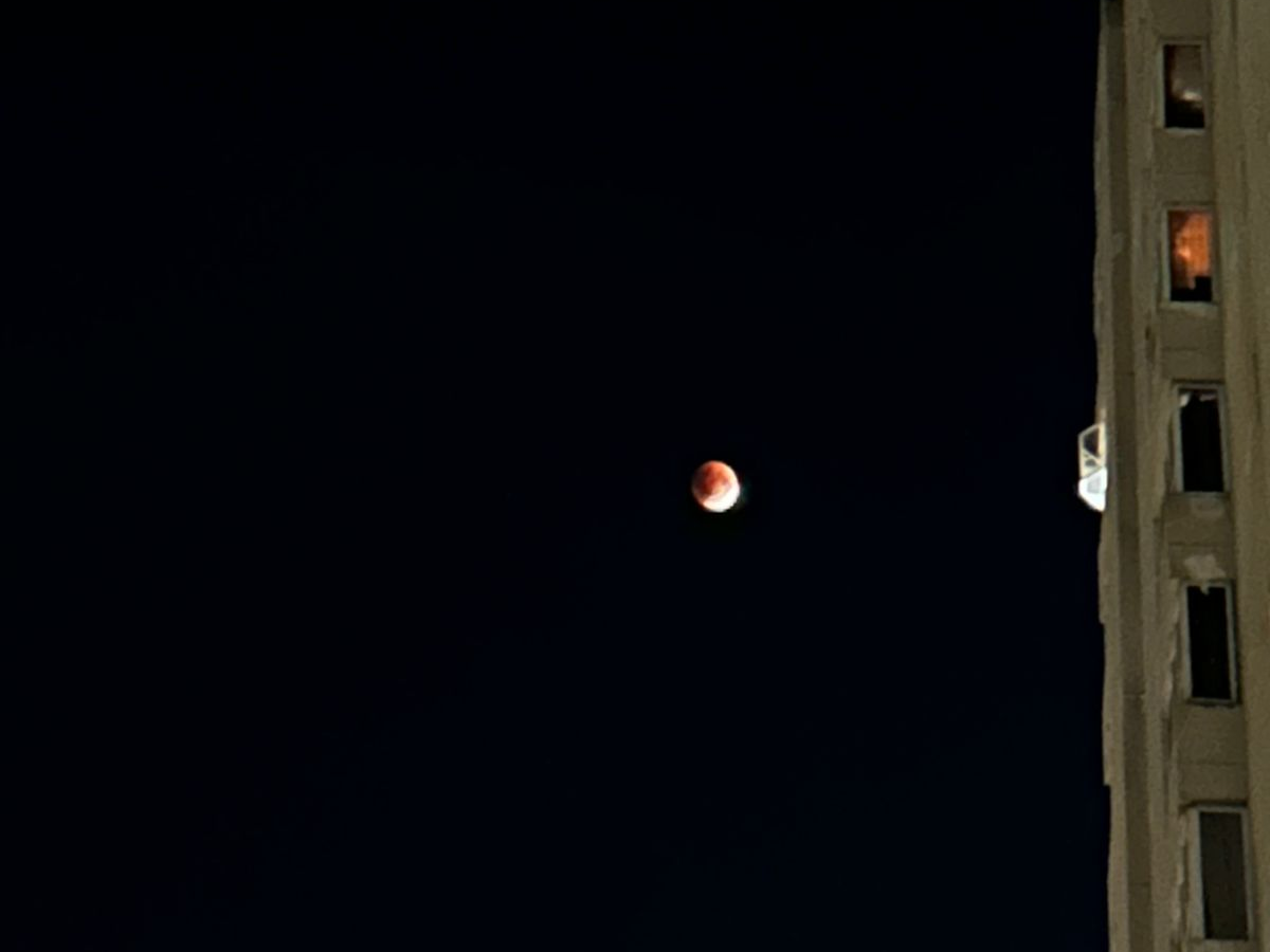 Blood Moon 2025 | Pic Credit: Swastika Sruti - iPhone 13 Clicked