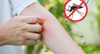 5 Proven Tips: Keep Your Home Mosquito-Free This Monsoon Season