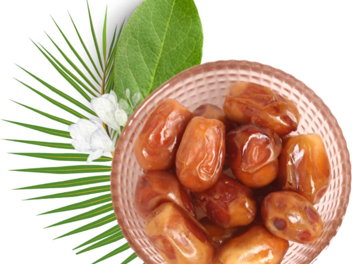 Boosting Brain Function