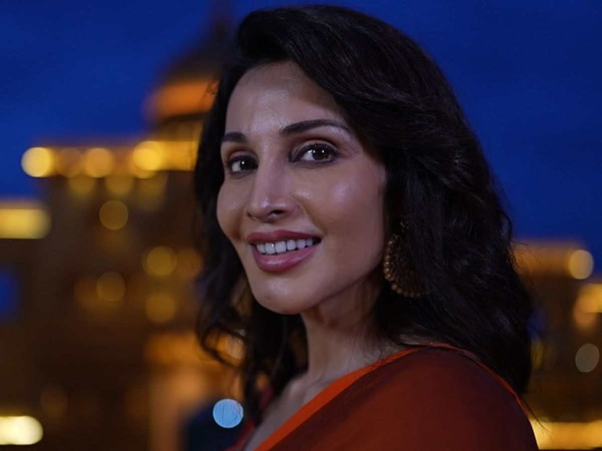 Meet The Bigg Boss 9 Telugu Contestant Who Was Once Banned From Film Industry, Was Left With A Broken Jawline By Her Producer Boyfriend