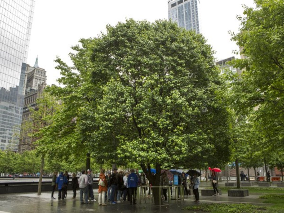 Health Impacts Still Felt