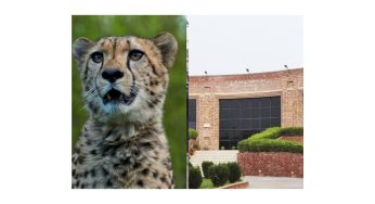 Is A Leopard Sighted In JNU? A Student’s Claim Sparks Panic In The Campus